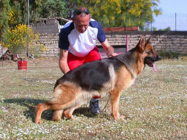 SG Aika Vom Goldenen Strand
