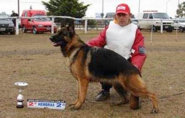 SG Queen von Giselle