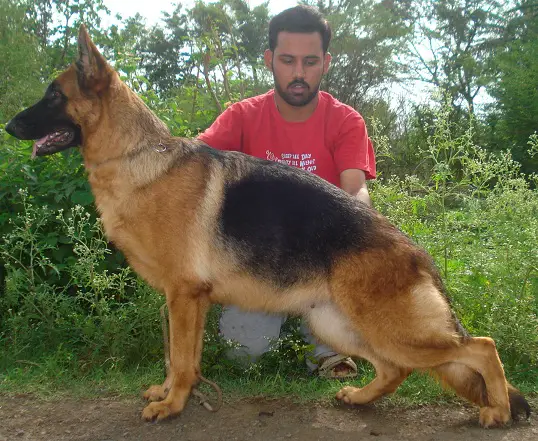 vinmin's sezanna
