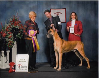 BISS CH My-Jon's Guilty As Charged