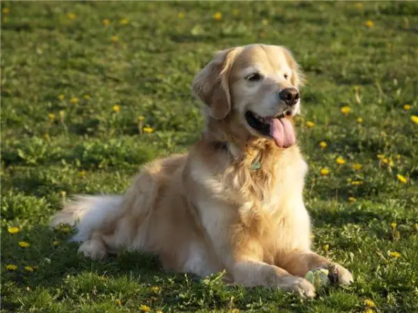 Charis Neverending Rhythms