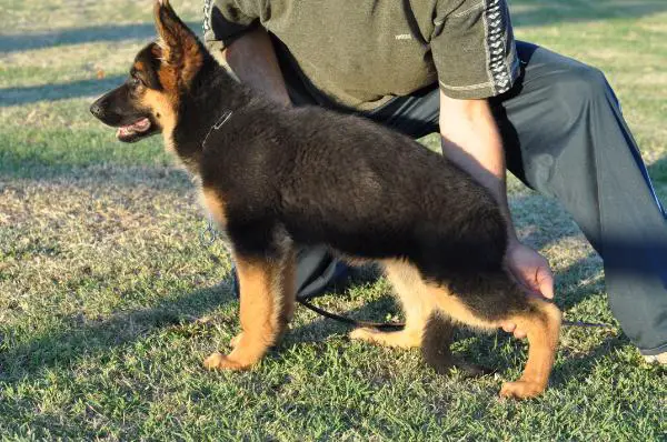 Ester del Monte Poliziano2