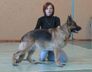 CH.RUS Ingrid iz Doma Karmanovoy