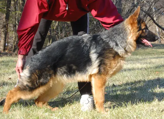 Daisy Duke vom Haus Hutfeld