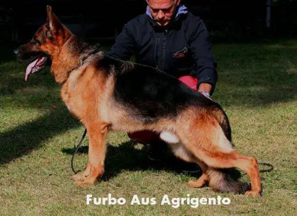 V Furbo aus Agrigento