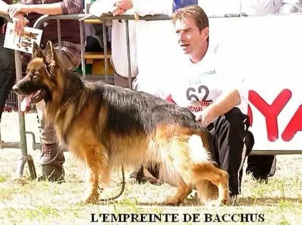 V1 (FR) BACCHUS DU DOMAINE DE LA VAREZE