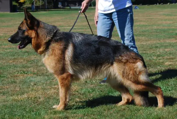 SG1 Xenja von Mathausen