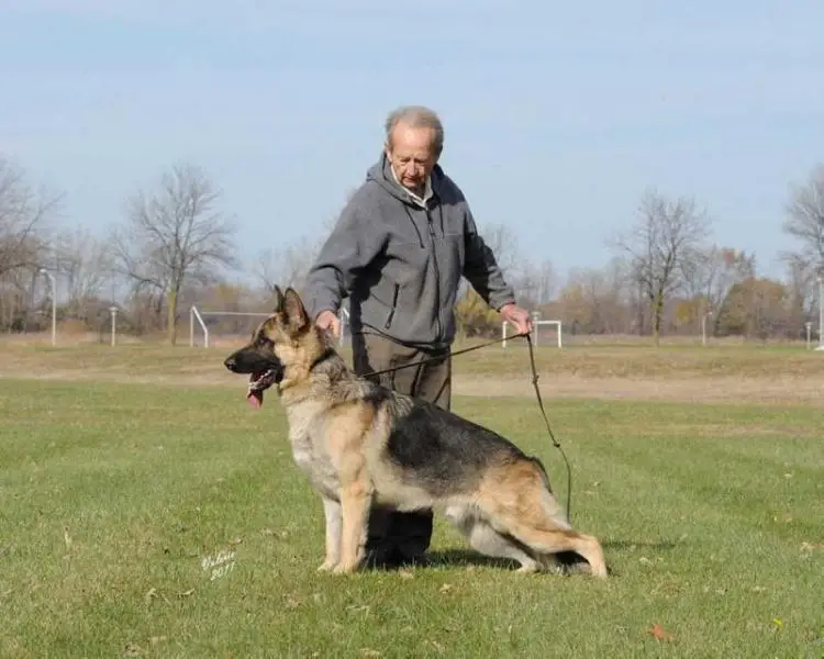 Seven Hills This One's For The Girls