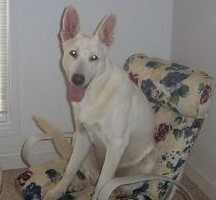 Beulah Wellington Solis II