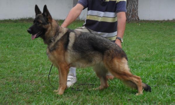 Ellen de La Blanqueada