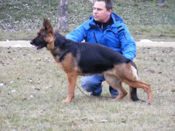 Farina von Paulgarten