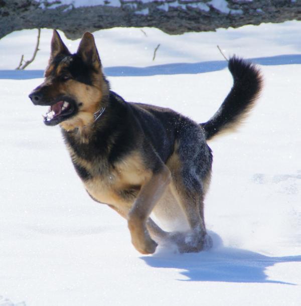 Farve Von Schneiden Fels Chaos