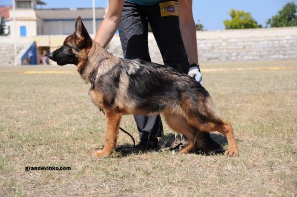 Afrodita Grosvi Haus