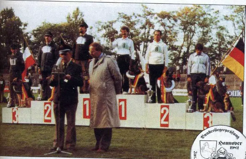 BSP Sieger 1983 Django vom Castell 18