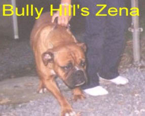 Bully Hill's Zeena
