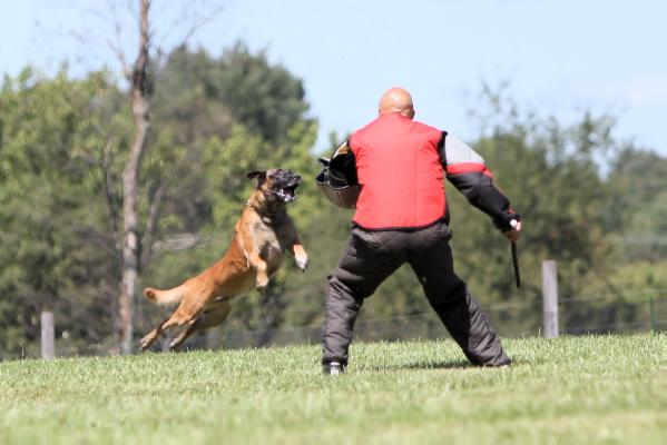 Caraq von Löwenfels