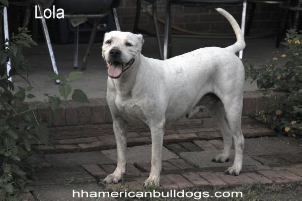 Horsley's Leaping Lola