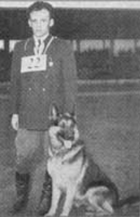 BSP Sieger 1956 & 1959 Baldur vom Ostertal