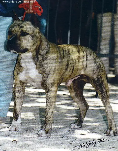 Maximillian du val d'arijan