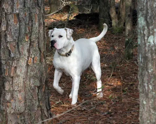 Laura's Outrageous Cash