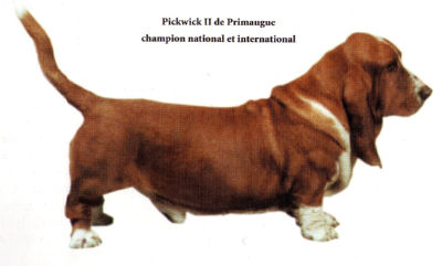 Pickwick II de Primaugue