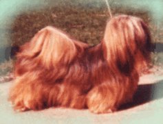 Kai Sang's Flame Of Everglo