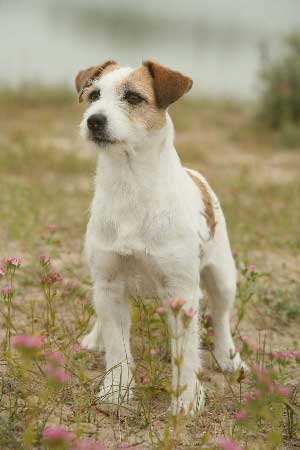 Total Look of Mayo Land