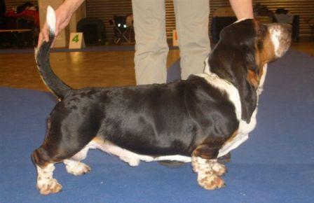 Dick Skip Od Berounky