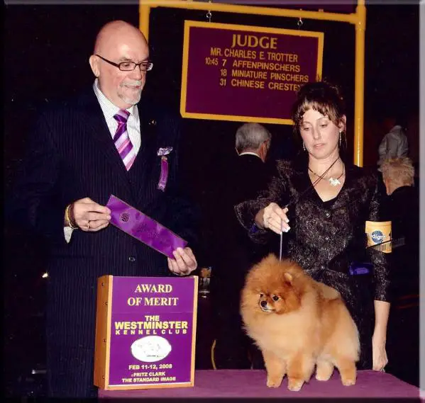 BIS/S CH (US) Finch's Bettin' On Char's HOF