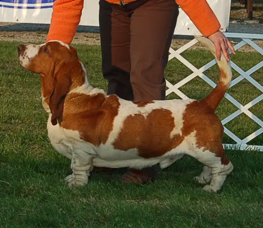 Tobias turguesa playa