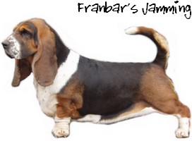 Franbar's jamming