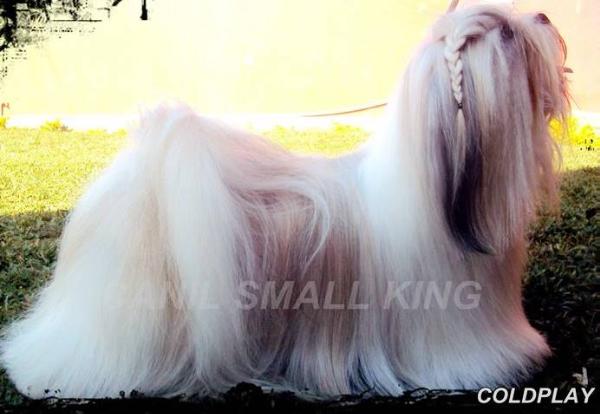 ColdPlay of Excalibur Quest