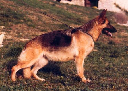 V Fionni de Franquieres