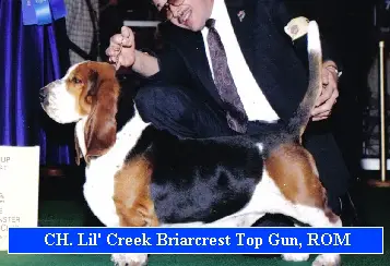 Lil' Creek Briarcrest Top Gun