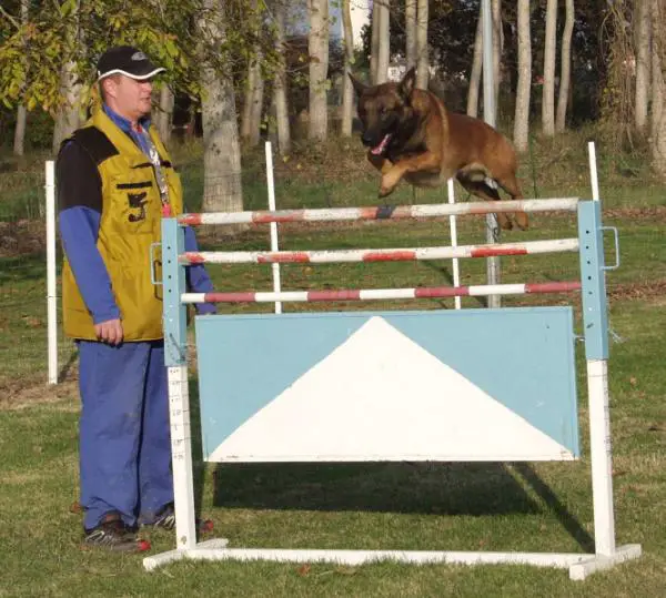 Iras Perle de Tourbière