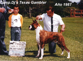 CH ME Dj's Texas Gambler