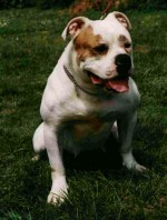 Kennedy's Crazy Legs