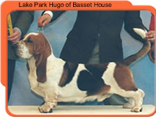 Lake Park Hugo of Basset House