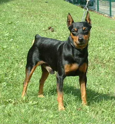 FIN CH Atlas V. Sierra