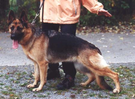 Jenny vom Lippischen Norden