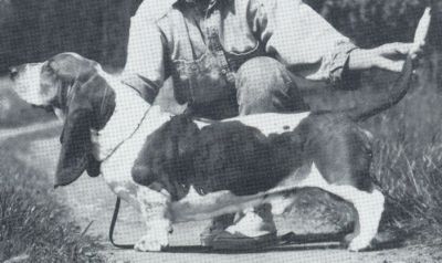 Huntman's viking Tveskagg