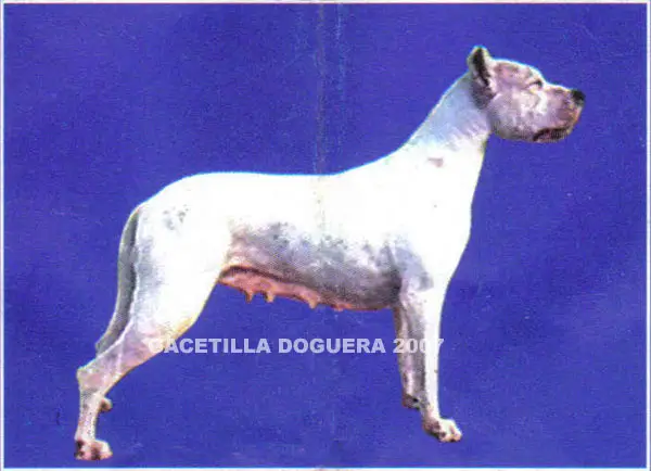 GR CH Laura Del Litoral