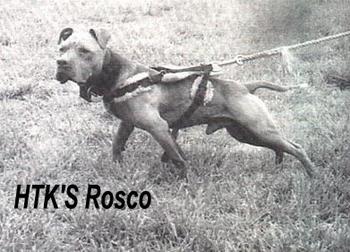 HTK's Rosco