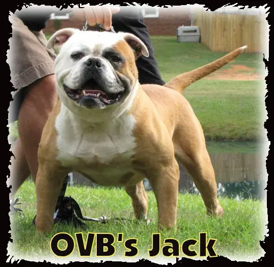 CH OVB's Cracker Jack Attack