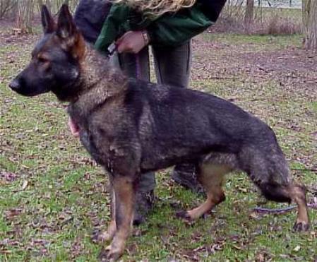 Otess von der Neptungrotte