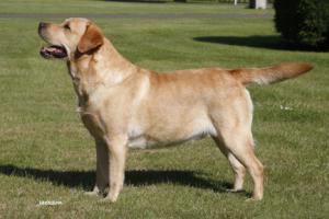 SH CH Ramsayville RainStops Play