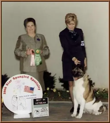 CAN CH Kawakami's Panda Bear O'Wesaka