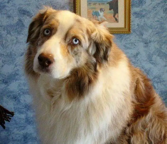 Keepsake Poetry In Motion