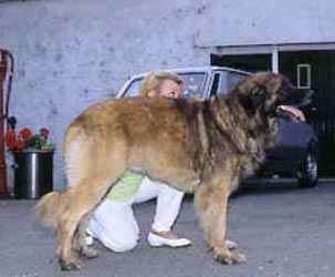 Brook du Chemin des Ecoliers