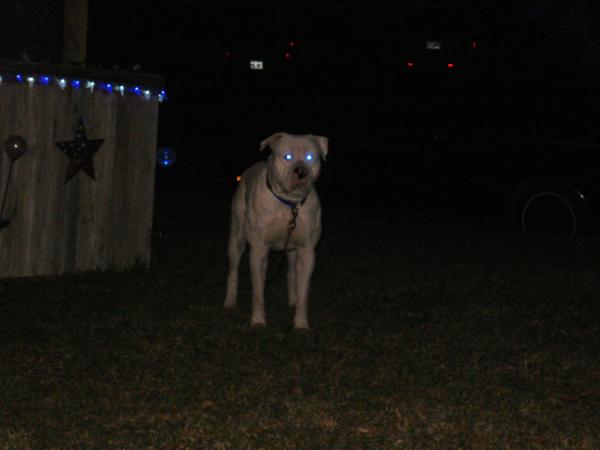 McQueen's Bullet of YHK